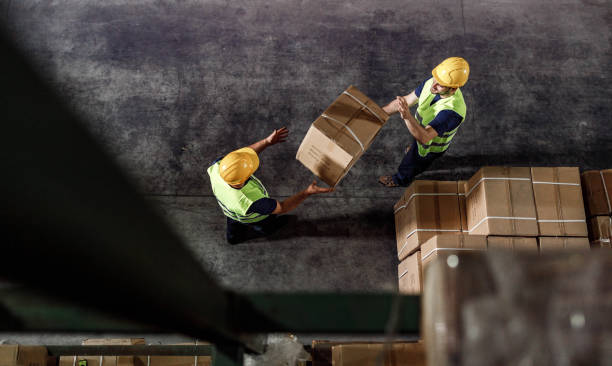 High angle view of workers cooperating while working with cardboard box in a distribution warehouse. Copy space.