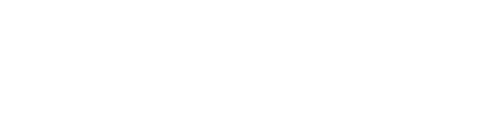 Aaction auto glass